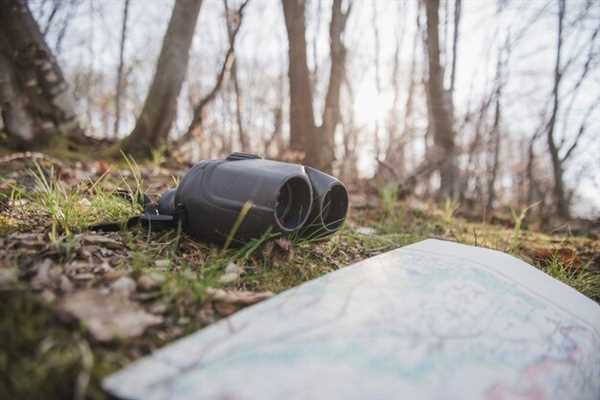 Field Performance: Pros and Cons of AGM NVG and Thermal Scopes in Various Environments